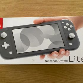 Nintendo Switch Lite グレー 充電器 フィルム付 即日発送