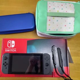 Nintendo Switch 本体 セット microSD256GB おまけ付