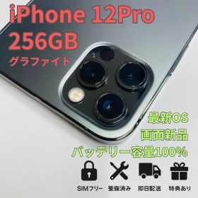 【256GB】iPhone 12Pro バッテリー容量100％