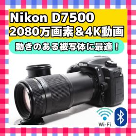 ショット少なめ❤️ Nikon D7500❤️ Wi-Fi&4K動画❤️一眼レフ