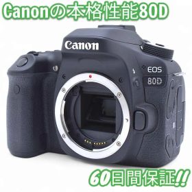 105ショット Canon EOS 80D Wi-Fi搭載 キャノン #9495