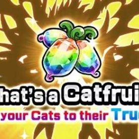 ✨各種素材 ✵ 新規作成 ✵ 追加可能 ✵ 即対応✨ | にゃんこ大戦争のアカウントデータ、RMTの販売・買取一覧