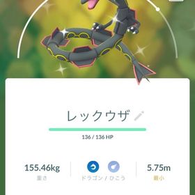 ✨色違いレックウザ + ガリュウテンセイ 1000円 | ポケモンGOのアカウントデータ、RMTの販売・買取一覧