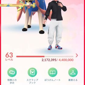 《TL63》ダイマックス色違い多数✨伝説120↑レイドパス40枚 引退垢 | ポケモンGOのアカウントデータ、RMTの販売・買取一覧