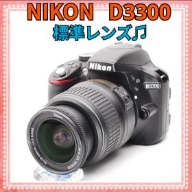 ⭐NIKON D3300⭐標準レンズ⭐初心者おすすめ