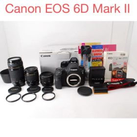 美品 Canon EOS 6D mark II標準&望遠&単焦点レンズセット