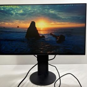 EIZO FlexScan EV2451 23.8インチモニター 液晶モニター