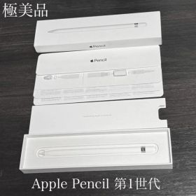 極美品 付属品有り 正常動作確認済み Apple Pencil 第1世代