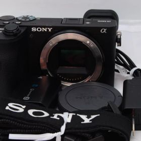 22401ショット！良品 ★ SONY α6600 ボディ ブラック ILCE-6600 ミラーレス一眼
