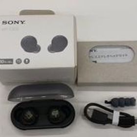 ワイヤレスイヤホン WF-C500 HATSUNE MIKU SONY