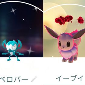 8717【PTC】国産！色違いダイマックスイーブイ 他 | ポケモンGOのアカウントデータ、RMTの販売・買取一覧