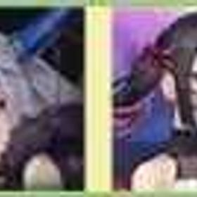 【画像のキャラ】 385000妖幻石+武器10連チケット10枚+URチケット8枚 UR3-15体 | ラグナド(ラグナドール)のアカウントデータ、RMTの販売・買取一覧