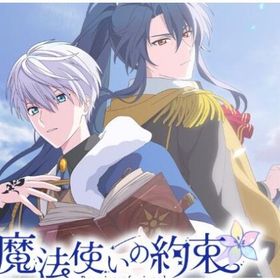 マナ石14600~18000個+SSR7~9個+ガチャチケ72枚+SSRカード2枚 | 魔法使いの約束(まほやく)のアカウントデータ、RMTの販売・買取一覧