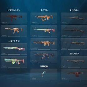 引退アカウント 過去のサブ垢 | VALORANT(ヴァロラント)のアカウントデータ、RMTの販売・買取一覧