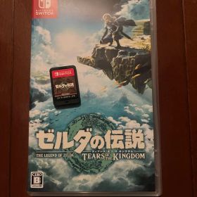 ゼルダの伝説 ティアーズ オブ ザ キングダム