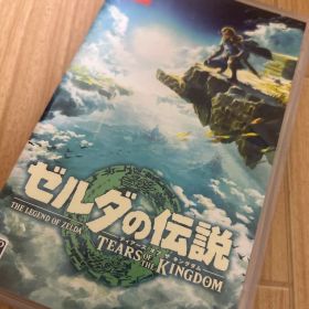 ゼルダの伝説 ティアーズ オブ ザ キングダム