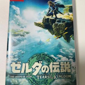 ゼルダの伝説 ティアーズ オブ ザ キングダム