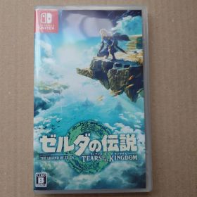 ゼルダの伝説 ティアーズ オブ ザ キングダム