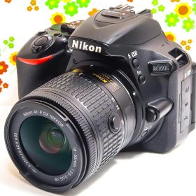 ニコン Nikon D5600☆スマホに転送☆高性能一眼レフ☆自撮り可能！