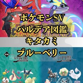 【パルデア全図鑑】 藍の円盤・碧の仮面 色違いセット | ポケモンSV(スカーレットバイオレット)のアカウントデータ、RMTの販売・買取一覧