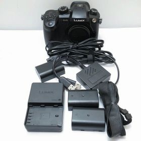 【全品ポイント10倍！要エントリー】パナソニック Panasonic ミラーレス一眼 LUMIX DC-GH5 【中古】