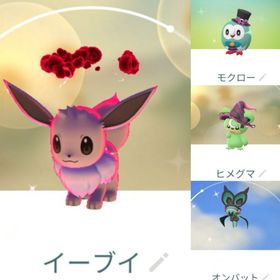8116【PTC】国産！色違いダイマックスイーブイ ♂ 他 | ポケモンGOのアカウントデータ、RMTの販売・買取一覧