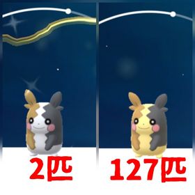 15⭐️PTC⭐️国産⭐️色違いモルペコ2匹、通常モルペコ127匹 | ポケモンGOのアカウントデータ、RMTの販売・買取一覧