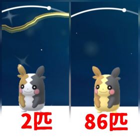 88⭐️PTC⭐️国産⭐️色違いモルペコ2匹、通常モルペコ86匹 | ポケモンGOのアカウントデータ、RMTの販売・買取一覧