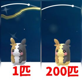 571⭐️PTC⭐️国産⭐️色違いモルペコ、通常モルペコ200匹 | ポケモンGOのアカウントデータ、RMTの販売・買取一覧