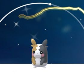 【トレード】色違いモルペコ | ポケモンGOのアカウントデータ、RMTの販売・買取一覧