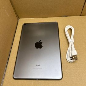 Apple iPad mini (第５世代) 256GB グレー
