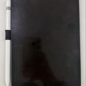 iPad mini 第五世代セルラースペースグレー Apple Pencil付き