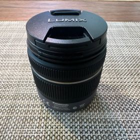 Panasonic H-FS014042