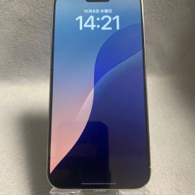 超美品 海外版 SIMフリー iPhone15 Pro Max 256GB ナチュラルチタニウム色