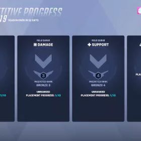 ✅ S19丨ブロンズDPS丨シルバータンク丨ブロンズサポート丨