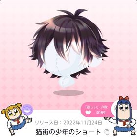 猫街の少年のショート | ポケコロツイン(ポケツイ)のアカウントデータ、RMTの販売・買取一覧