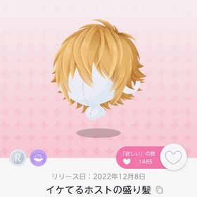 イケてるホストの盛り髪 | ポケコロツイン(ポケツイ)のアカウントデータ、RMTの販売・買取一覧