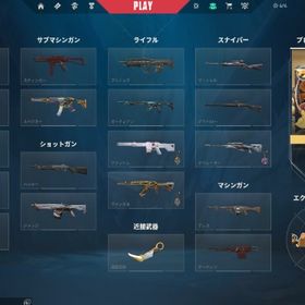 引退アカ EP8 レディアント 課金総額20万 | VALORANT(ヴァロラント)のアカウントデータ、RMTの販売・買取一覧