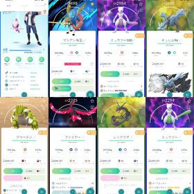 即戦力垢❗️TL68!ミュウツー100❗️背景剣の王❗️色違い207体❗️個体値100:120体所持 | ポケモンGOのアカウントデータ、RMTの販売・買取一覧