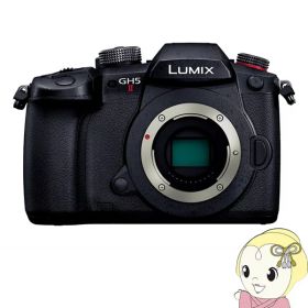 Panasonic パナソニック LUMIX Gシリーズ ミラーレス 一眼カメラ DC-GH5M2 ボディ【/srm】【KK9N0D18P】