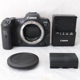 ☆良品・ショット数9000☆ Canon ミラーレス一眼カメラ EOS R5 ボディ EOSR5 キヤノン #4067