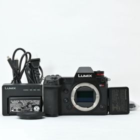 ＜美品＞Panasonic LUMIX DC-S1R ボディ｜新品同等(ミラーレス一眼)