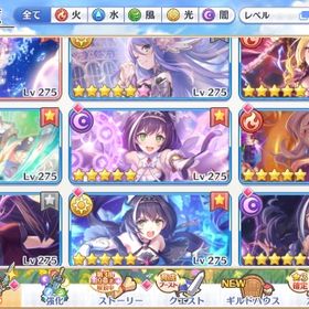 引退アカウント。| プリンセスコネクト(プリコネR)のアカウントデータ、RMTの販売・買取一覧