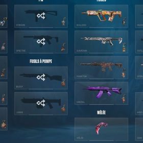 人気スキン多数アカウント LoLスキンも込 | VALORANT(ヴァロラント)のアカウントデータ、RMTの販売・買取一覧