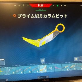 値引き交渉あり！引退しますので売ります(限定スキン多数) | VALORANT(ヴァロラント)のアカウントデータ、RMTの販売・買取一覧