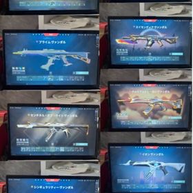 Champion2024 他ヴァンダルスキン | VALORANT(ヴァロラント)のアカウントデータ、RMTの販売・買取一覧