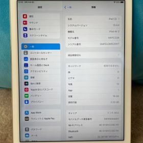 iPad Air2 16GB Wi-Fi＋cellular docomo 中古