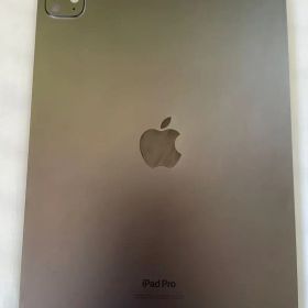 Apple iPad Pro 256GB 本体 11インチM4