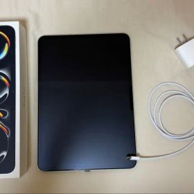 【超美品】Apple iPad Pro M4 256GB シルバー