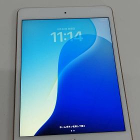 【Wi-Fi/セルラー】iPad mini 第5世代/64GB/A2124〈NUX72J/A〉